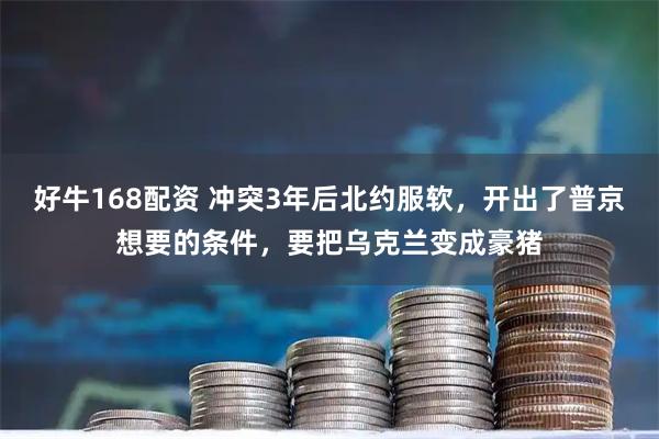 好牛168配资 冲突3年后北约服软，开出了普京想要的条件，要把乌克兰变成豪猪