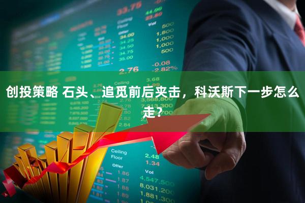 创投策略 石头、追觅前后夹击，科沃斯下一步怎么走？