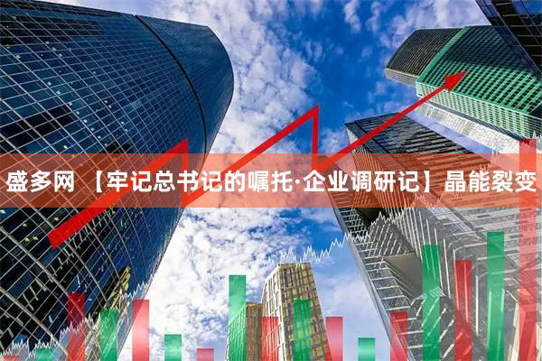 盛多网 【牢记总书记的嘱托·企业调研记】晶能裂变